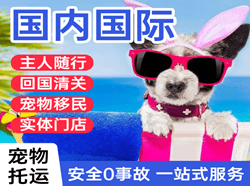 北京首都国际宠物托运 【国